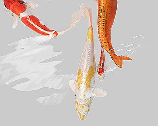 剧情动作冒险游戏《巴布的传奇》现已上线Steam平台